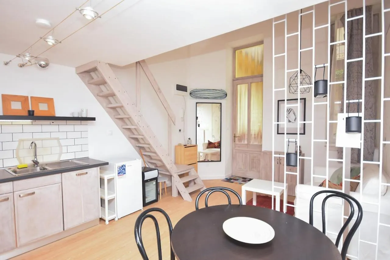 公寓 Stylish Home In Downtown Budapest For 2-4 People 匈牙利